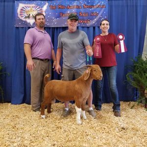 Meet your Posher, Sandra